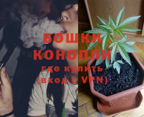 стафф Дмитров
