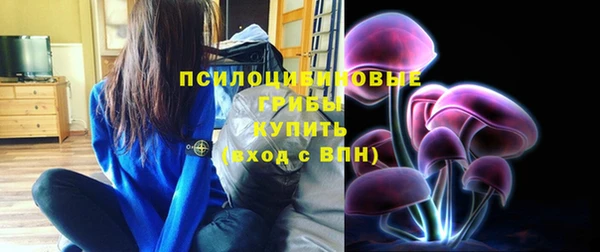 марки lsd Дмитриев