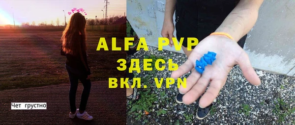 стафф Дмитров