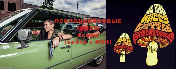 стафф Дмитров