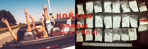 стафф Дмитров