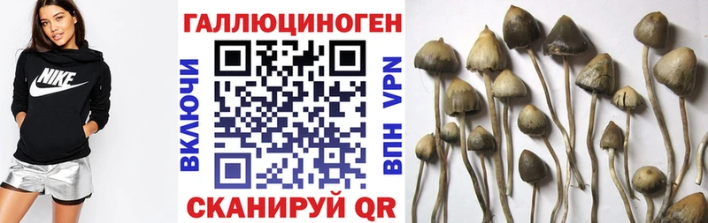 Купить где  Спас-Клепики  Галлюциногенные грибы мухоморы 